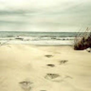 Meet your Posher, Cathy